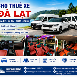 cho-thue-xe-da-lat-gia-re-giai-phap-di-chuyen-tiet-kiem-va-tien-loi-cho-moi-hanh-trinh