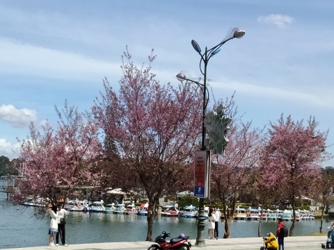 Cho Thuê Xe Du Lịch Đà Lạt