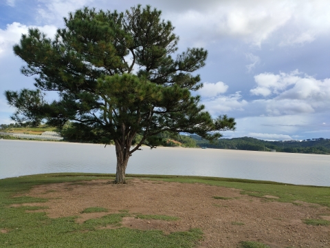 Cho Thuê Xe Du Lịch Đà Lạt