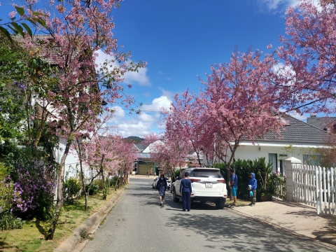 Cho Thuê Xe Du Lịch Đà Lạt